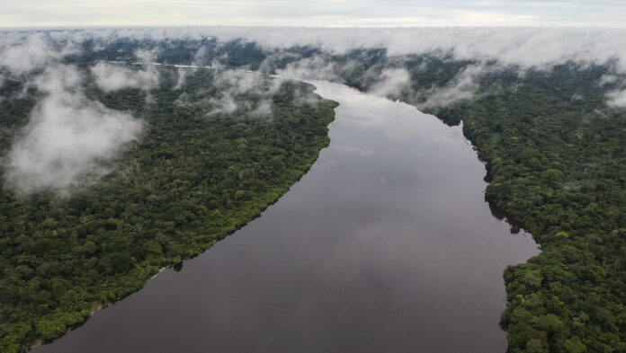 Colombia es el país con mayor diversidad de aves en el mundo y alberga ecosistemas claves para la conservación, como la Amazonía.